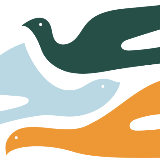 Journo Birds